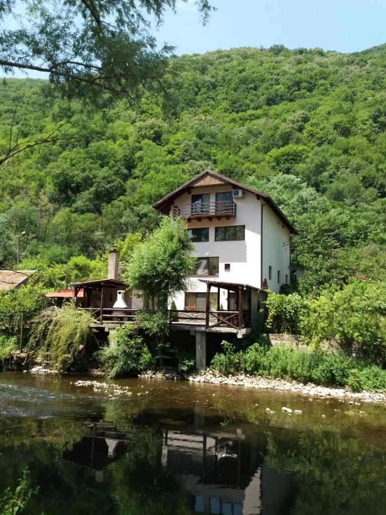 Отель Casa Vivian Бэиле-Еркулане Экстерьер фото